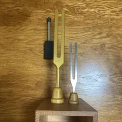 2026年最新】音叉チューナー マドモアゼル愛の人気アイテム - メルカリ