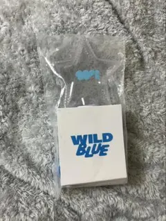 2026年最新】WiLD blue ペンライトの人気アイテム - メルカリ