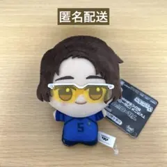 2026年最新】雪宮剣優 ぬいぐるみの人気アイテム - メルカリ