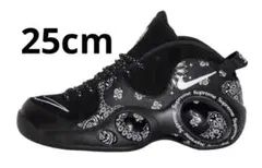 2026年最新】ズームフライト5の人気アイテム - メルカリ