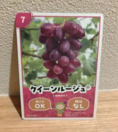 2026年最新】生坂村 カードの人気アイテム - メルカリ