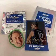 2026年最新】ジェイクサインの人気アイテム - メルカリ