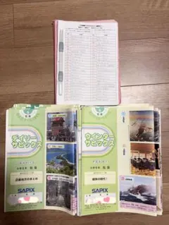2026年最新】デイリーサピックス国語の人気アイテム - メルカリ