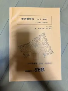 2026年最新】seg テキストの人気アイテム - メルカリ