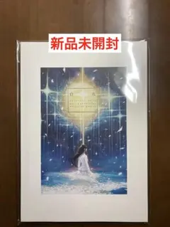 2026年最新】iNNOCENT grey 白夜の人気アイテム - メルカリ