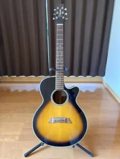 2026年最新】タカミネ pt106の人気アイテム - メルカリ