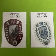 2026年最新】櫻坂46 新せ界 エンブレムの人気アイテム - メルカリ