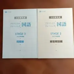 2026年最新】アドバンスト模試の人気アイテム - メルカリ