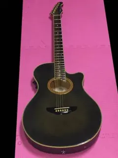 2026年最新】apx ギター 長渕剛の人気アイテム - メルカリ