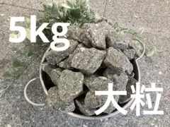 2026年最新】遠野の石の人気アイテム - メルカリ