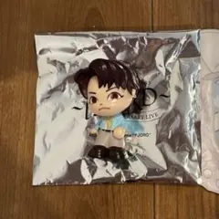 2026年最新】フィヨルドガチャの人気アイテム - メルカリ