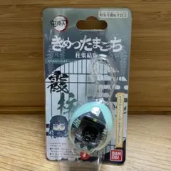 2026年最新】むいちろうっちの人気アイテム - メルカリ