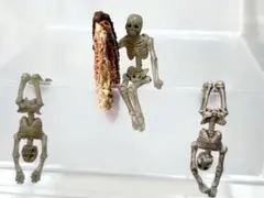 2026年最新】コップのフチボーンの人気アイテム - メルカリ