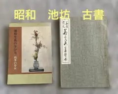 2026年最新】池坊_専永の人気アイテム - メルカリ