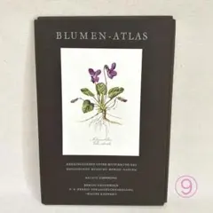 2026年最新】elsa felskoの人気アイテム - メルカリ