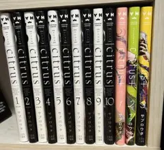 2026年最新】citrus 全巻の人気アイテム - メルカリ