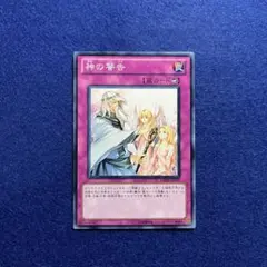 2026年最新】遊戯王 エラーカードの人気アイテム - メルカリ