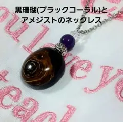 2026年最新】深海松の人気アイテム - メルカリ