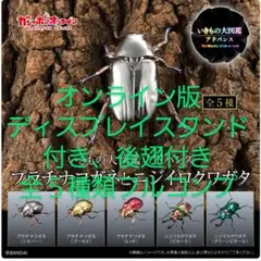 2026年最新】プラチナコガネの人気アイテム - メルカリ