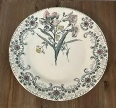 2026年最新】ショワジールロワ 切り花の人気アイテム - メルカリ