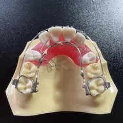 2026年最新】顎模型 ニッシンの人気アイテム - メルカリ