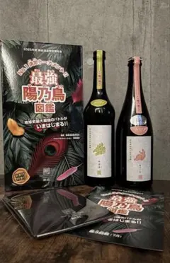 2026年最新】新政 ノベルティの人気アイテム - メルカリ