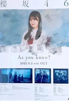 2026年最新】櫻坂 サイン ポスターの人気アイテム - メルカリ