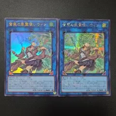 2026年最新】蒼翠の風霊使いウィンの人気アイテム - メルカリ