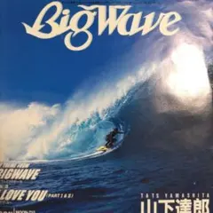 2026年最新】レコード山下達郎 Big Waveの人気アイテム - メルカリ