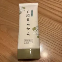 2026年最新】白粉せんがんの人気アイテム - メルカリ