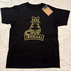 2026年最新】ノースフェイス石垣の人気アイテム - メルカリ