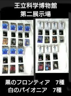 2026年最新】パイオニア kuroの人気アイテム - メルカリ