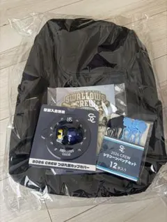 2026年最新】スワローズ リュックの人気アイテム - メルカリ