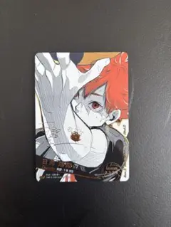 2026年最新】バボカ シリアル 極Pの人気アイテム - メルカリ