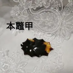 2026年最新】本鼈甲 ブローチの人気アイテム - メルカリ