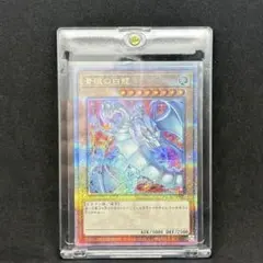 2026年最新】ブルーアイズホワイトドラゴンクオシクの人気アイテム