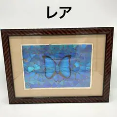 2026年最新】モルフォ蝶 アートの人気アイテム - メルカリ