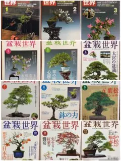 2026年最新】日本盆栽講座の人気アイテム - メルカリ