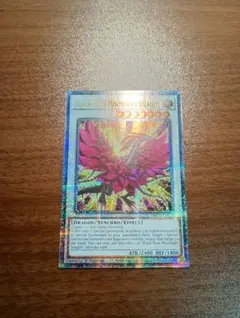 2026年最新】ブラックローズ シークレットの人気アイテム - メルカリ