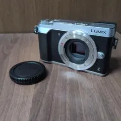 2026年最新】lumix gx7mk2 充電器の人気アイテム - メルカリ