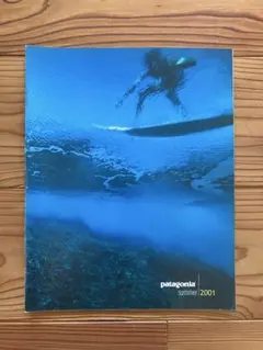 2026年最新】パタゴニア カタログ 2001の人気アイテム - メルカリ