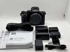 2026年最新】sony α7 ii ILCE-7M2の人気アイテム - メルカリ