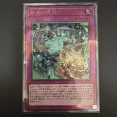 2026年最新】命王の螺旋の人気アイテム - メルカリ