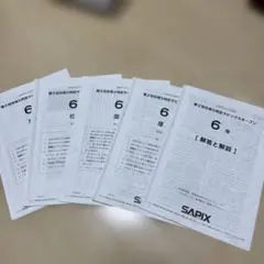 2026年最新】サピックスオープンの人気アイテム - メルカリ