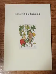 2026年最新】小磯良平 植物画の人気アイテム - メルカリ