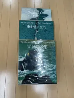 2026年最新】東山魁夷全集の人気アイテム - メルカリ