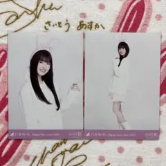 2026年最新】小川彩 生写真 干支 兎の人気アイテム - メルカリ