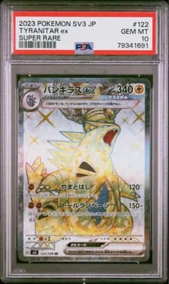 2026年最新】バンギラスEX sr psa10の人気アイテム - メルカリ