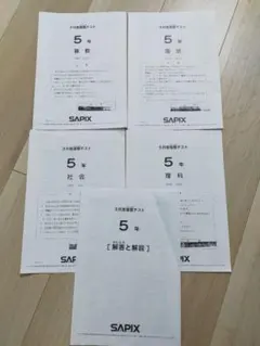 2026年最新】サピックステストの人気アイテム - メルカリ