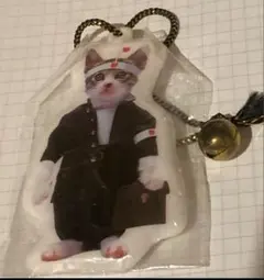 2026年最新】なめ猫 ぬいぐるみの人気アイテム - メルカリ